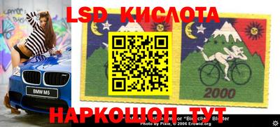 прущие грибы Абакан