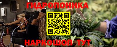 прущие грибы Абакан