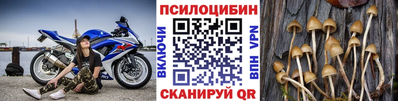 купить наркотик  Апшеронск  Псилоцибиновые грибы ЛСД 
