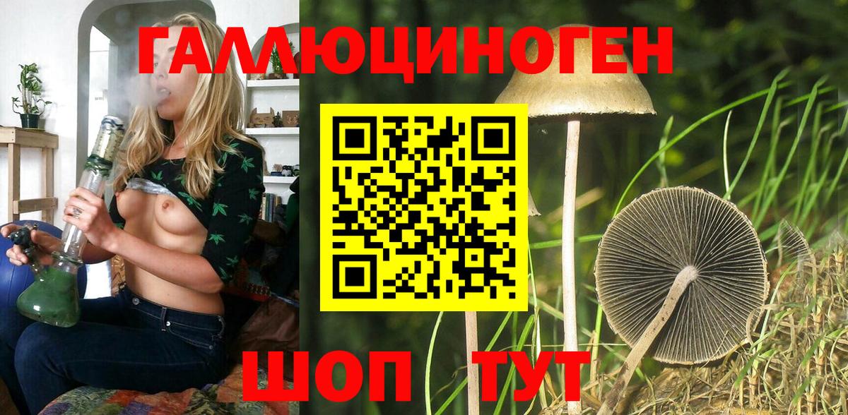 Псилоцибиновые грибы прущие грибы Апшеронск