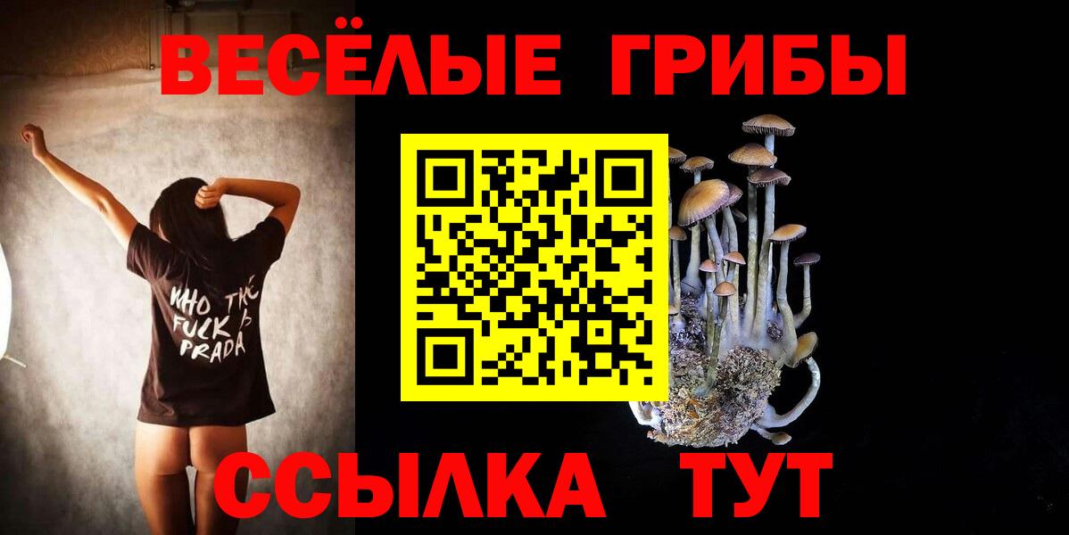 Псилоцибиновые грибы Psilocybine cubensis Апшеронск