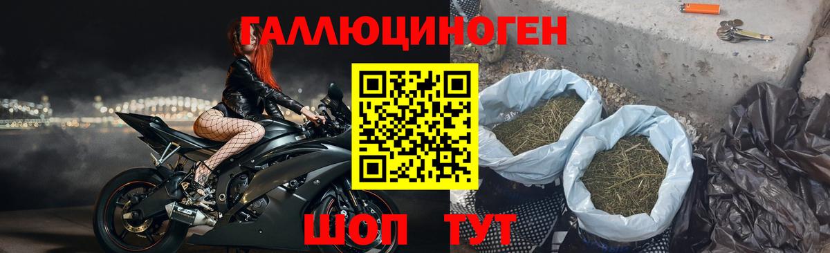 Апшеронск  Галлюциногенные грибы Psilocybe  Вход с VPN 